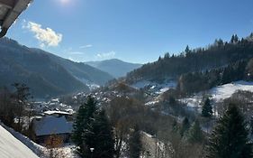 Bollenlodge - Ferienwohnung Mit Ausblick Und Top Lage
